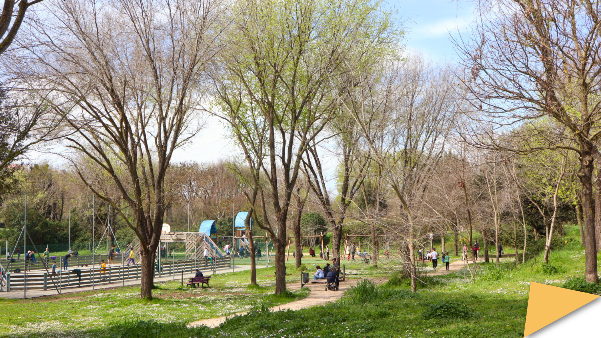 Lorenzo Mascioli banner