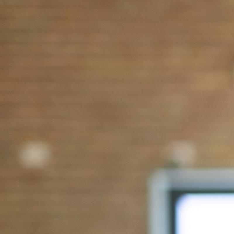 Raffaella A. Del Sarto