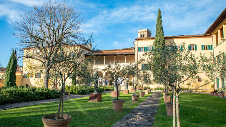 library-gardens-morning-winter
